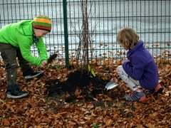 Eine Wildfruchthecke für die Schule