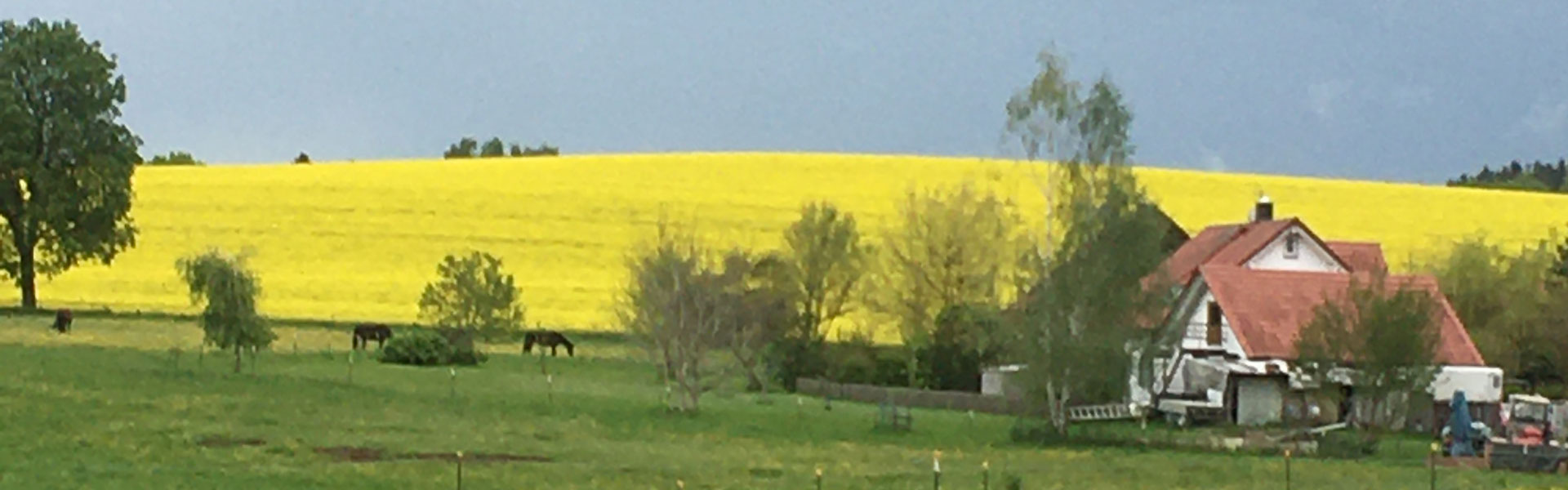 Header Mittelstetten (003)