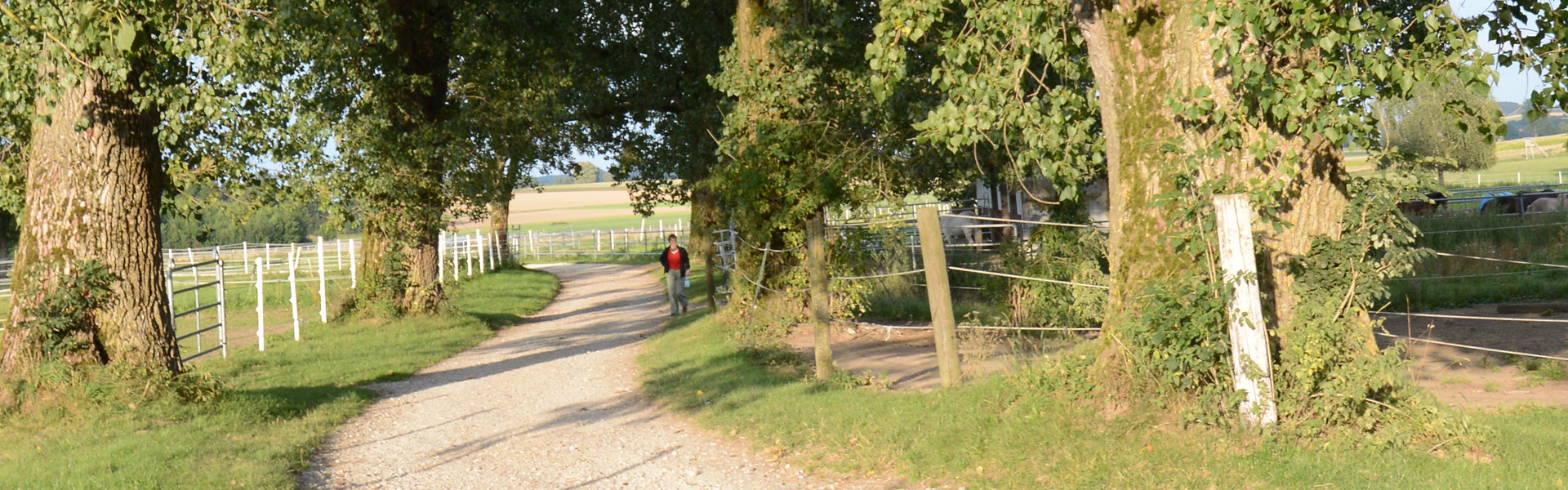 Header Mittelstetten (007)