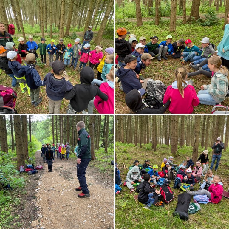 Wald 3b