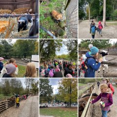 Wildpark 2